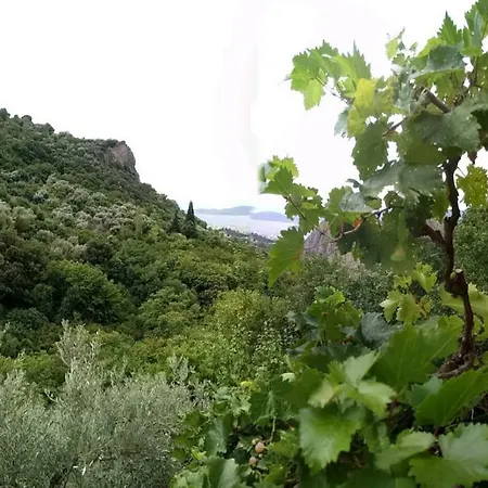 Σπίτι διακοπών Pelion Traditional House *